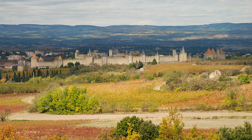 Carcassonne sur le Canal du Midi